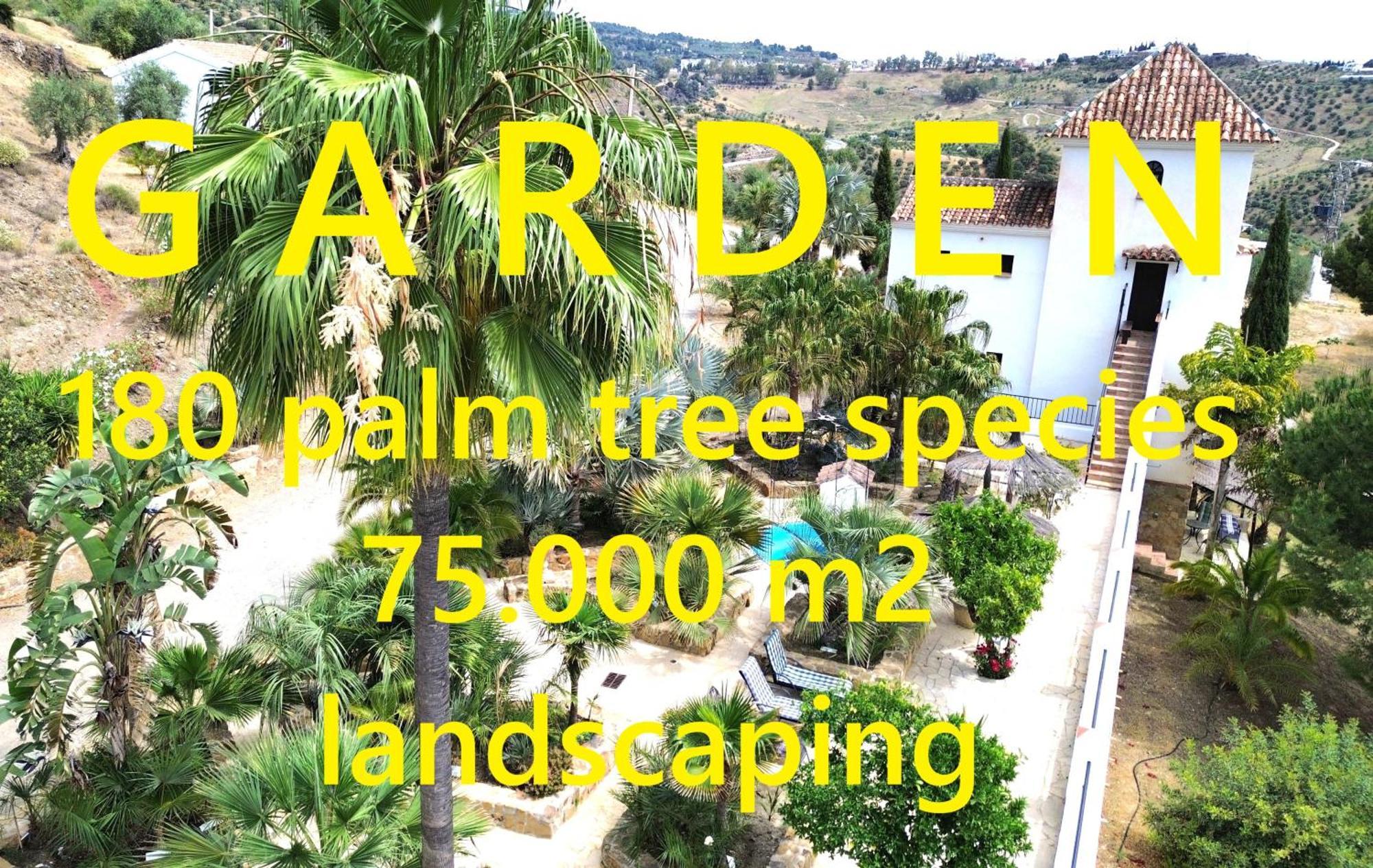 Private Detached Chalet With Own Jacuzzi Mi Dushi Tolox Bagian luar foto